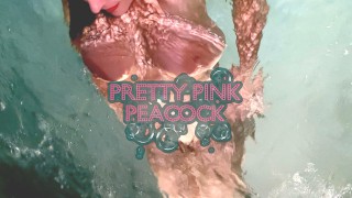 Pretty Pink Peacock